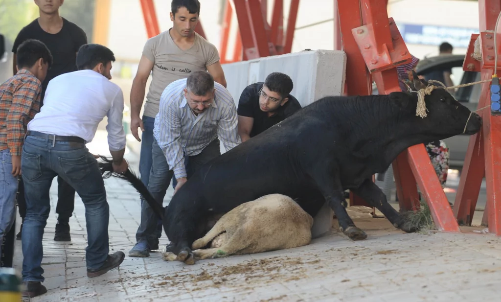 Bursa'da Kurban Bayramı manzaraları