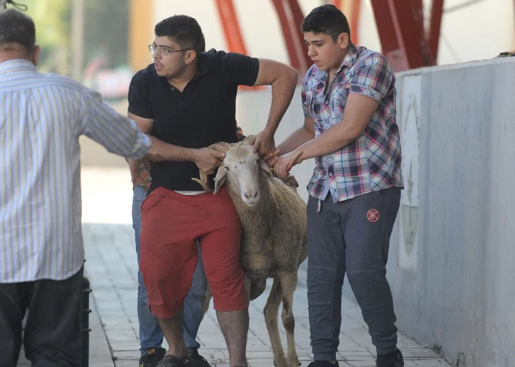 Bursa'da Kurban Bayramı manzaraları