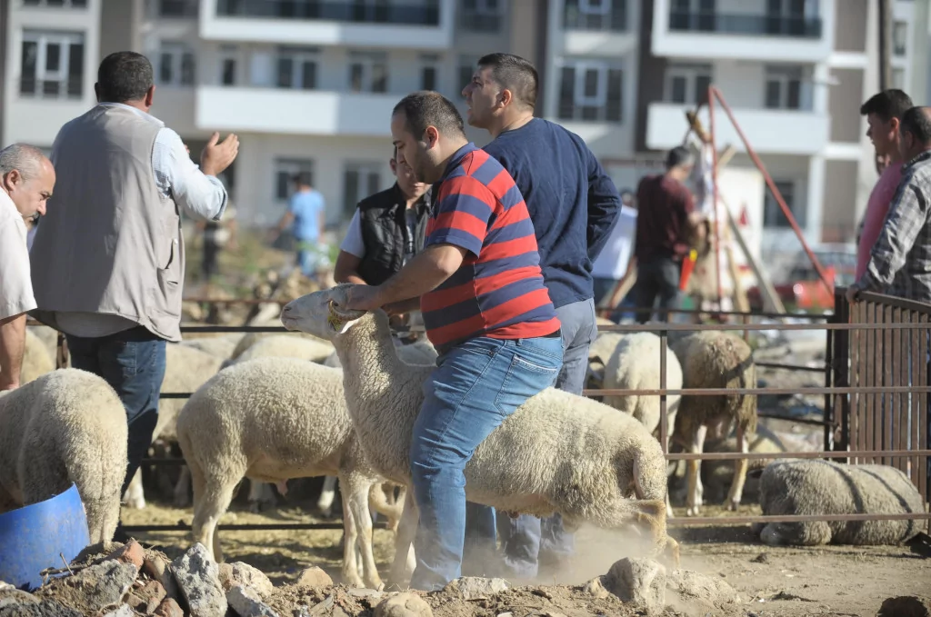 Bursa'da Kurban Bayramı manzaraları