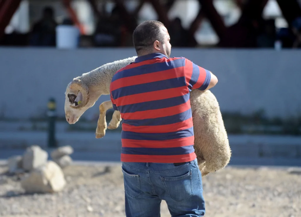 Bursa'da Kurban Bayramı manzaraları