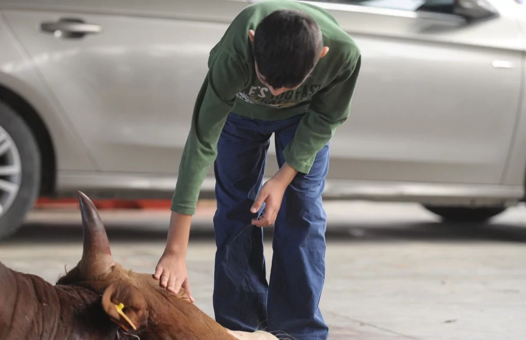 Bursa'da Kurban Bayramı manzaraları