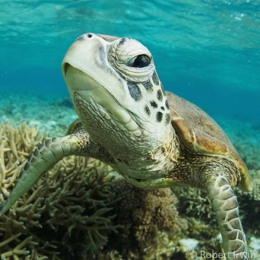 13 yaşındaki ödüllü doğa fotoğrafçısı