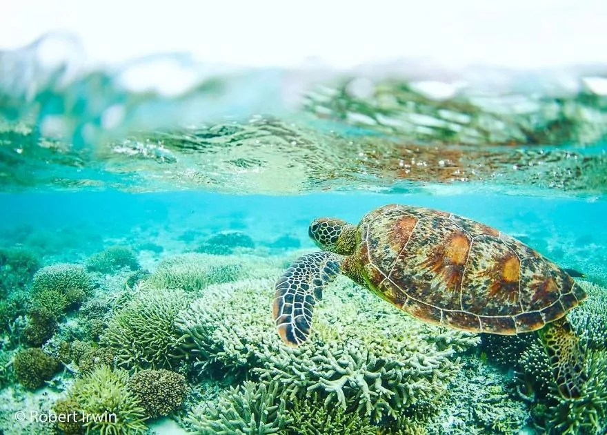 13 yaşındaki ödüllü doğa fotoğrafçısı