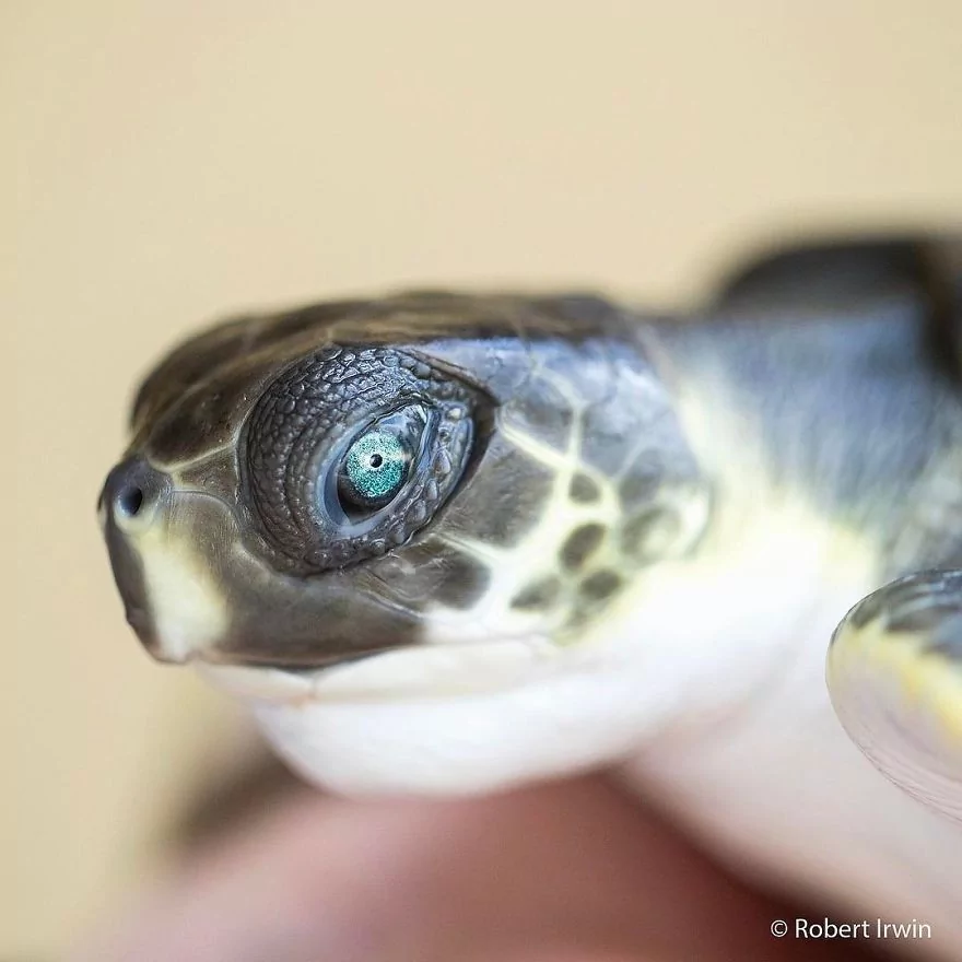 13 yaşındaki ödüllü doğa fotoğrafçısı