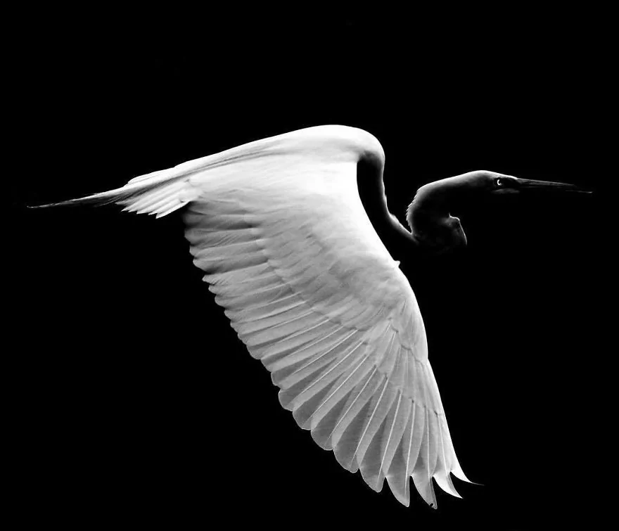 13 yaşındaki ödüllü doğa fotoğrafçısı