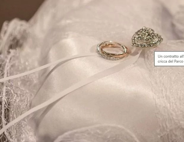 Kendisiyle evlenen 'yalnız gelin'