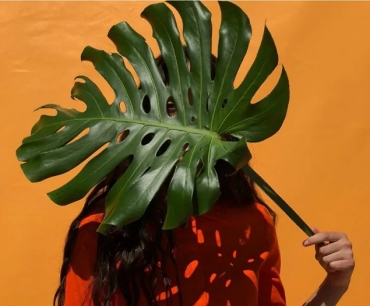 İşte Iphone X ve 8'le çekilen fotoğraflar!