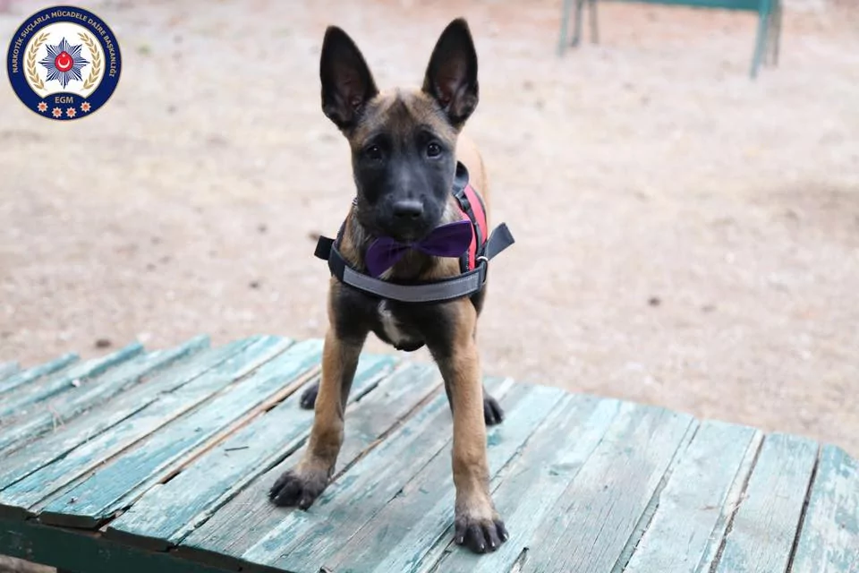 En sevimli emniyet mensupları