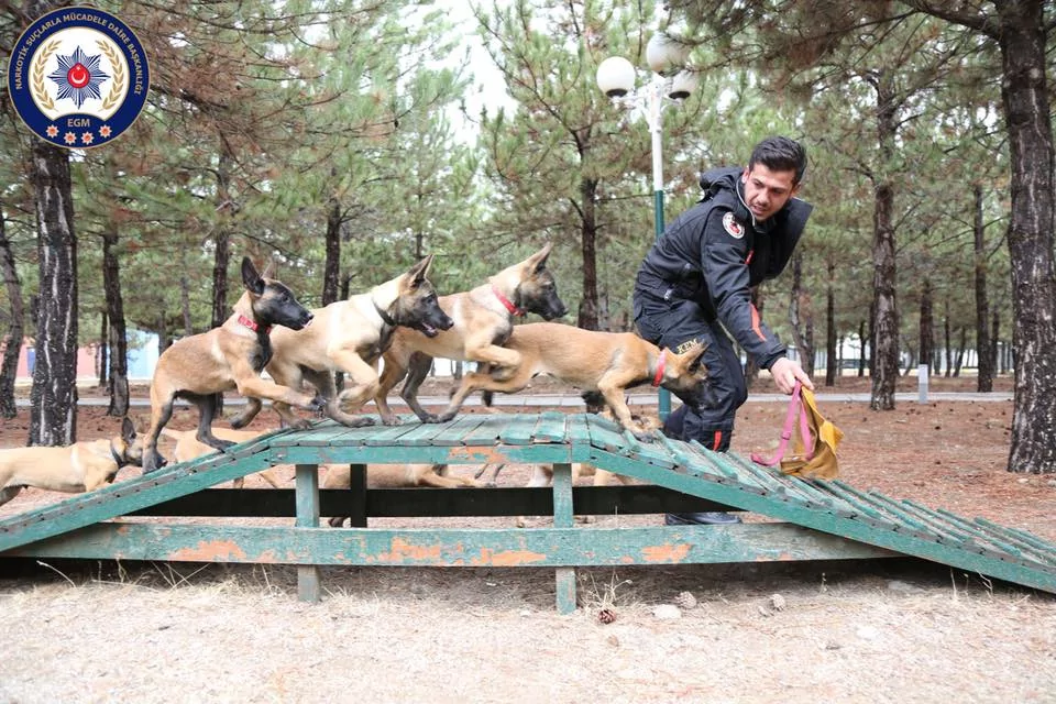 En sevimli emniyet mensupları