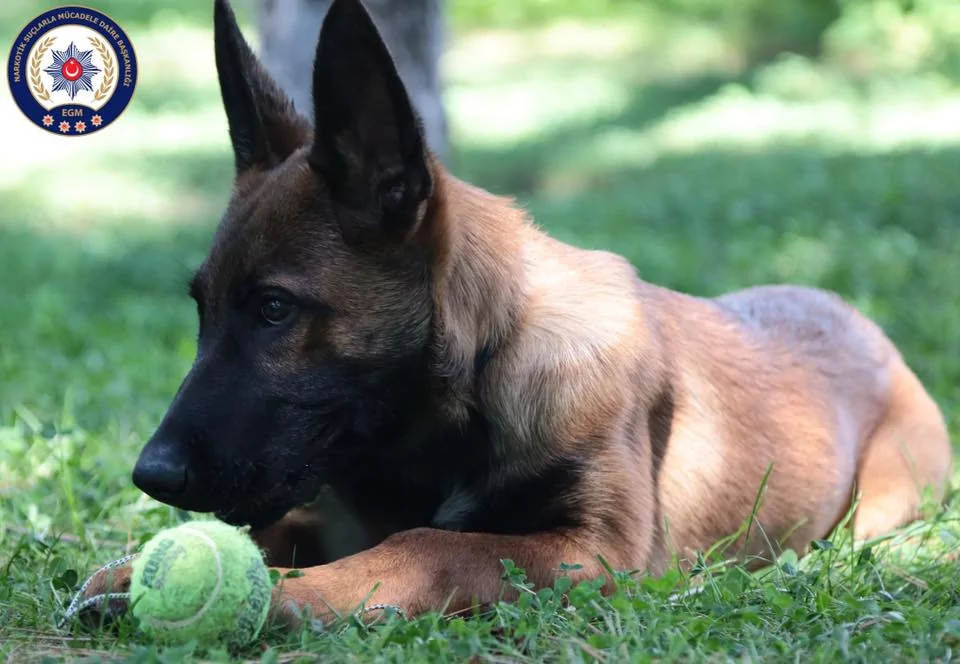 En sevimli emniyet mensupları