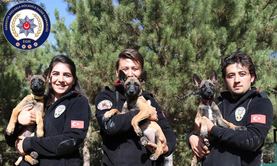 En sevimli emniyet mensupları