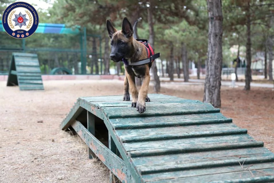 En sevimli emniyet mensupları