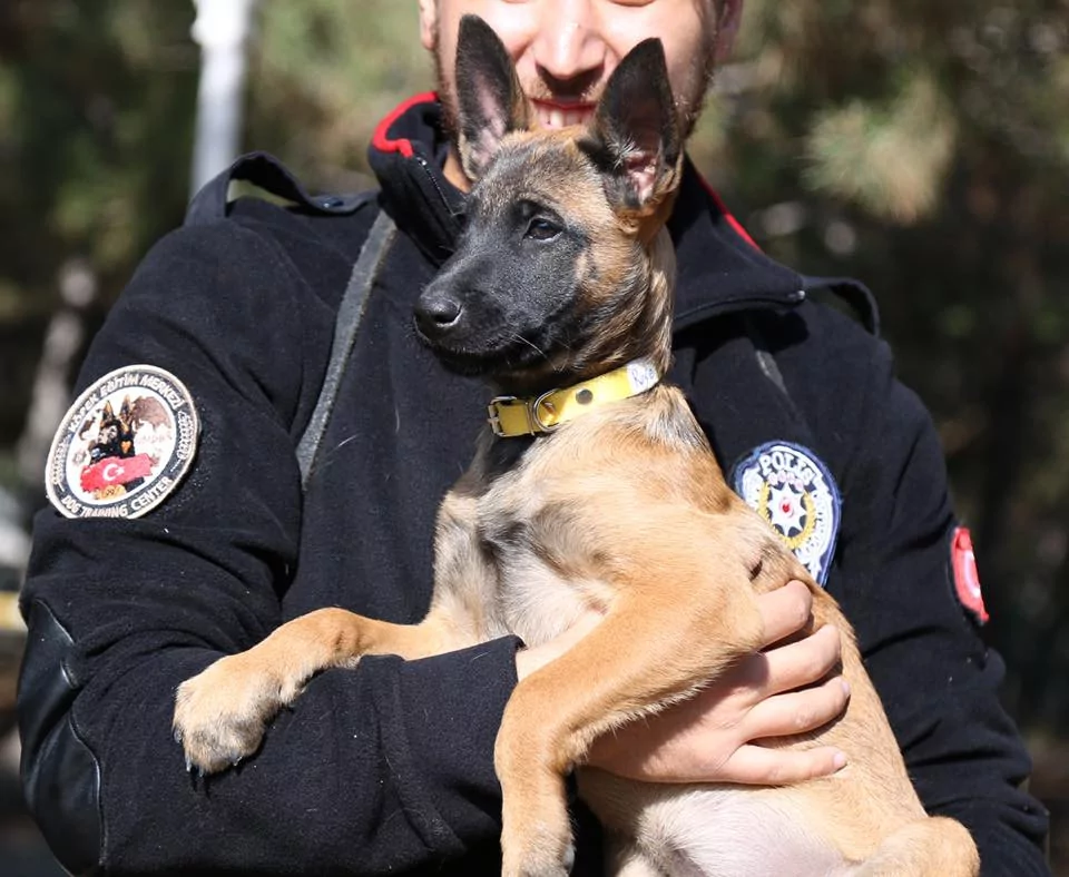 En sevimli emniyet mensupları