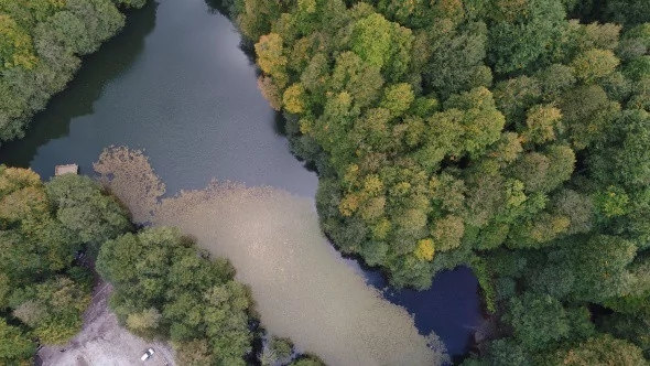 Yedigöller'in havadan görüntüsü büyülüyor