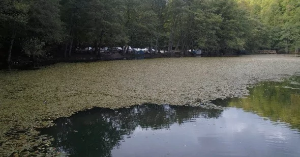Yedigöller'in havadan görüntüsü büyülüyor