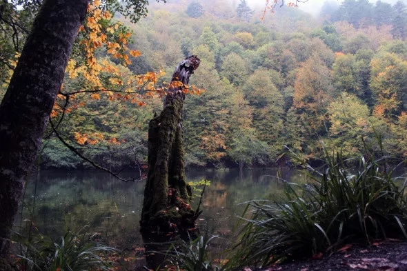 Yedigöller'in büyüleyen sonbahar manzarası