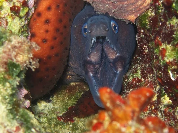 Türkiye'de bir harikalar diyarı