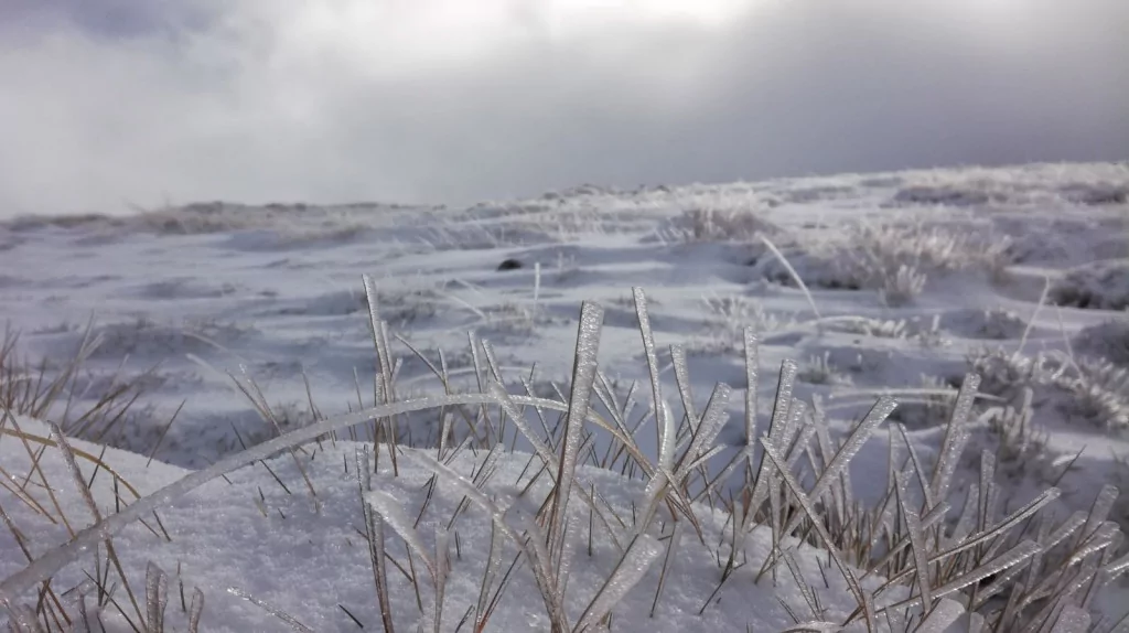 Bursa'dan yılın ilk kar manzaraları