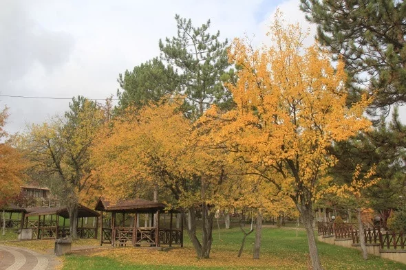 Bozkırda kartpostallık sonbahar manzaraları