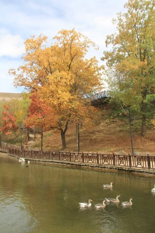 Bozkırda kartpostallık sonbahar manzaraları