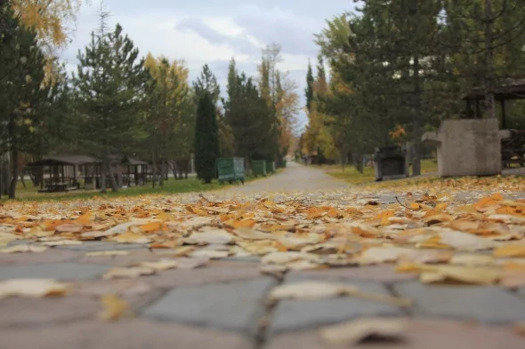 Bozkırda kartpostallık sonbahar manzaraları