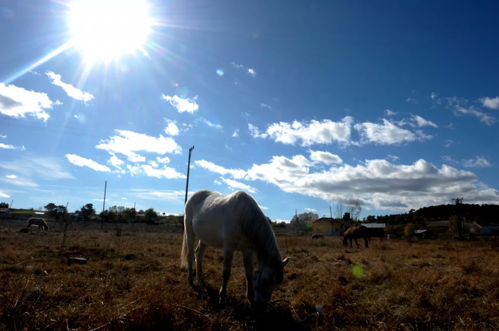 Bursa'da burayı gören hayran kalıyor!