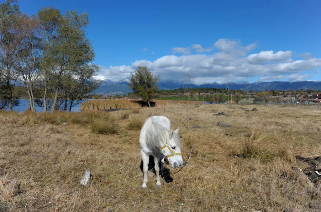 Bursa'da burayı gören hayran kalıyor!