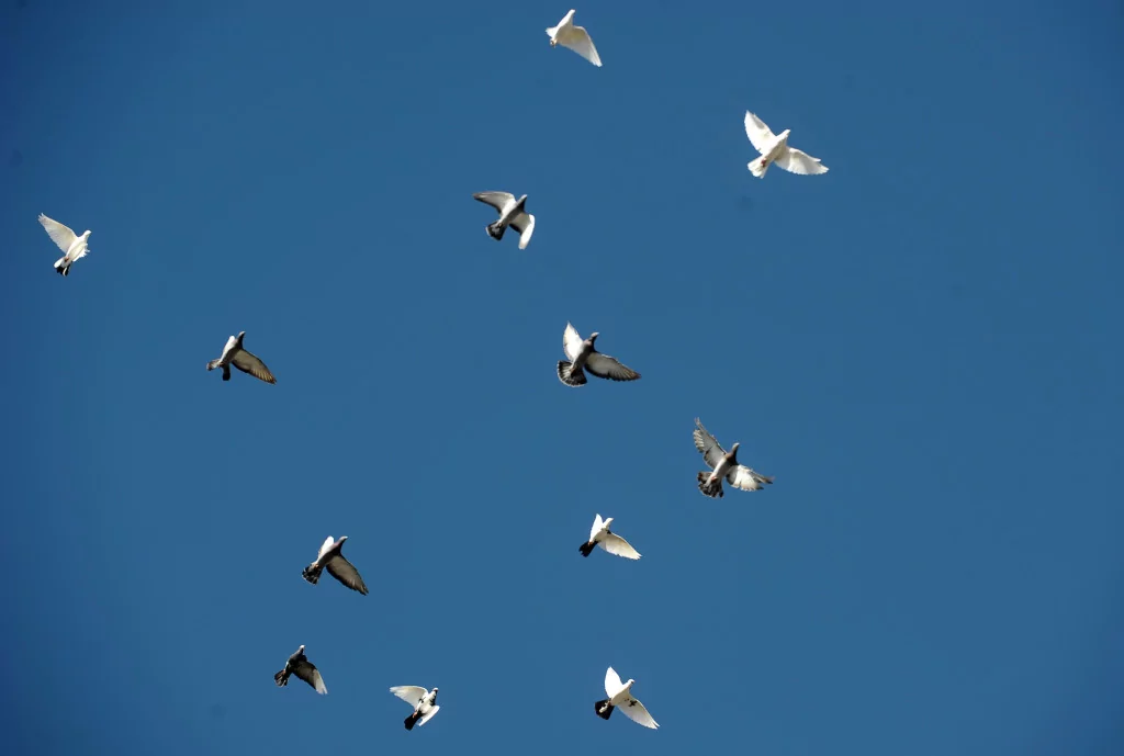Bursa'da burayı gören hayran kalıyor!
