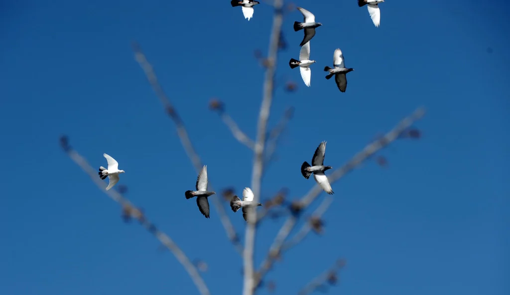 Bursa'da burayı gören hayran kalıyor!