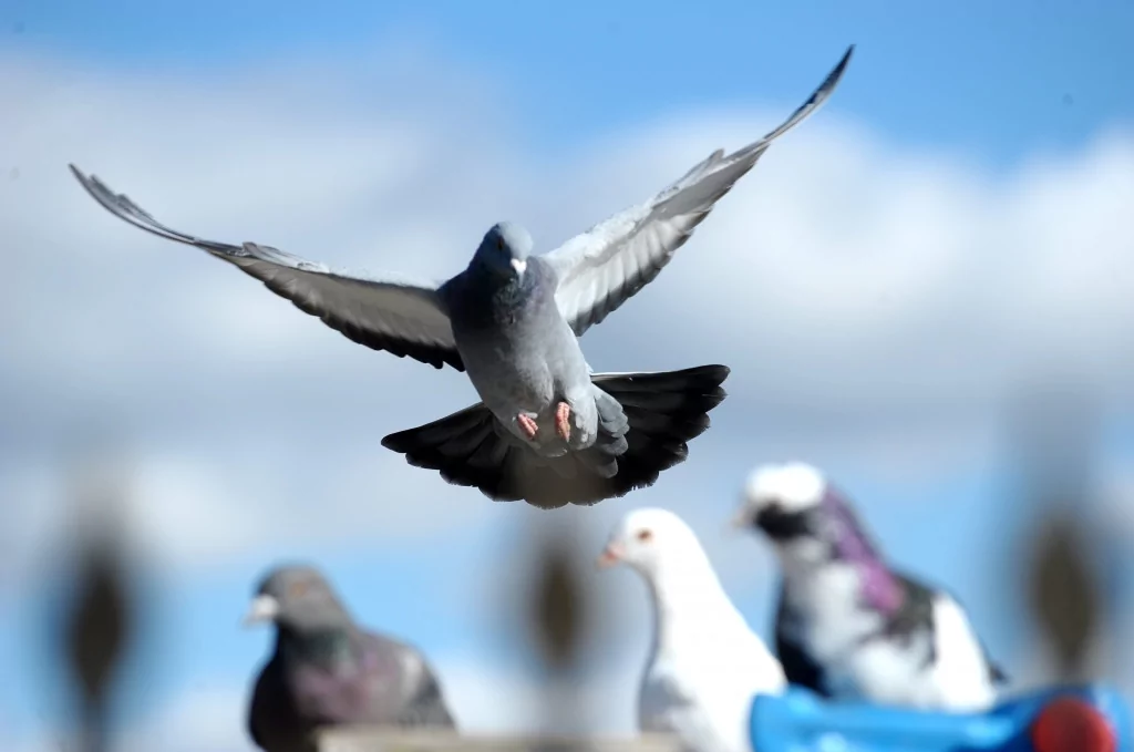 Bursa'da burayı gören hayran kalıyor!
