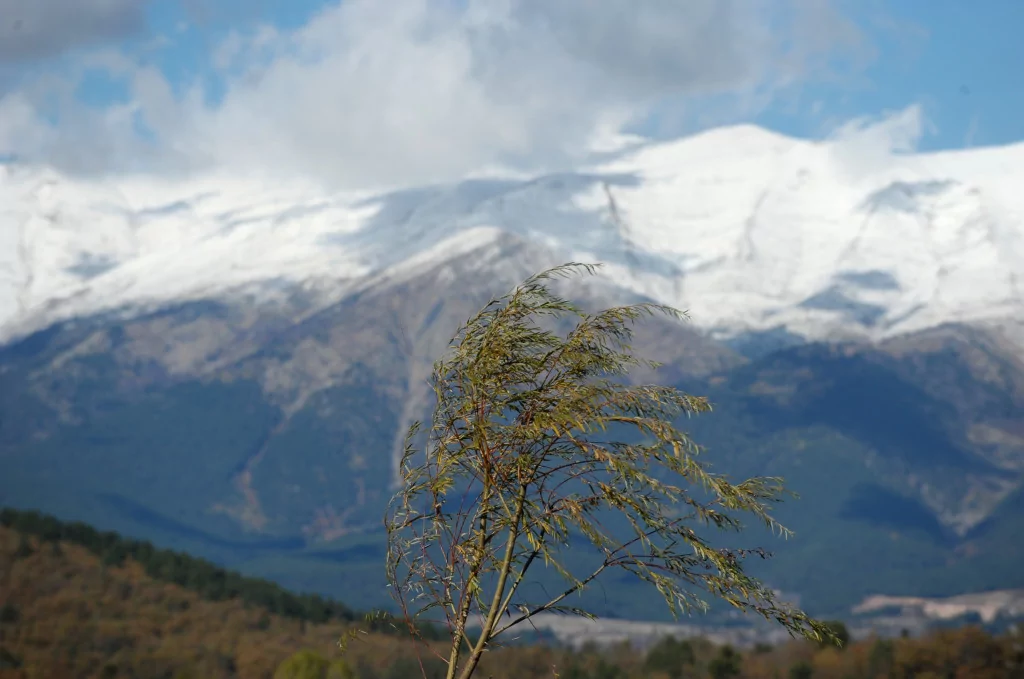 Bursa'da burayı gören hayran kalıyor!