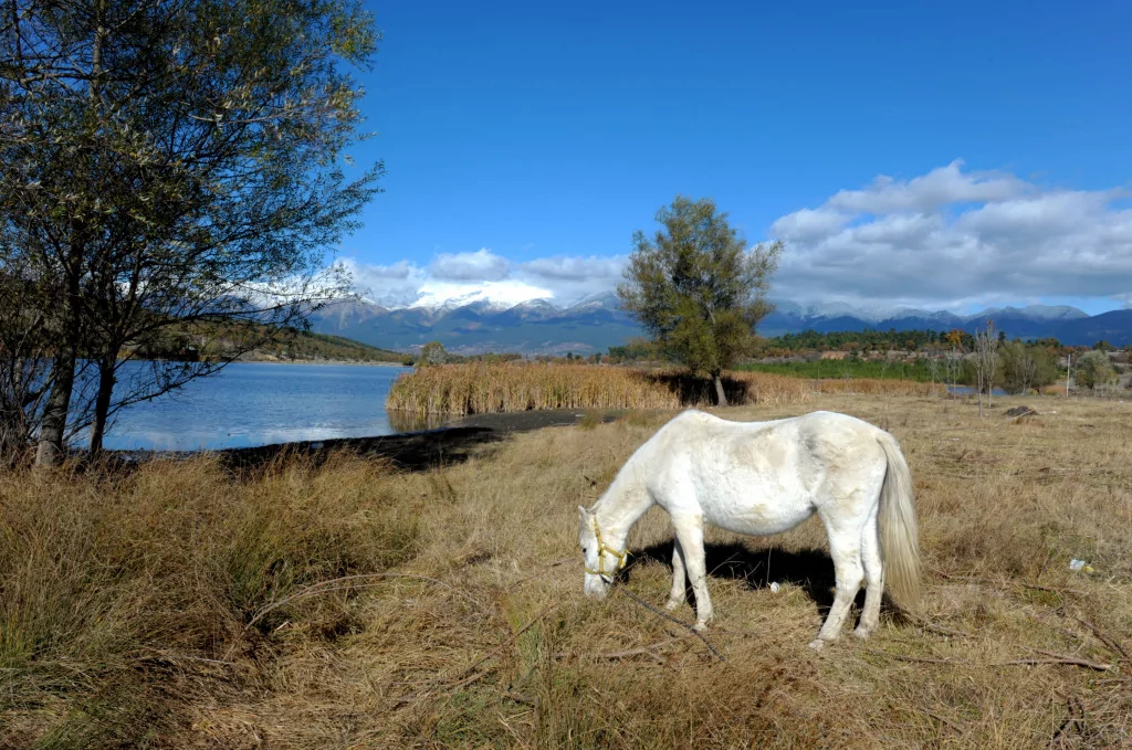Bursa'da burayı gören hayran kalıyor!
