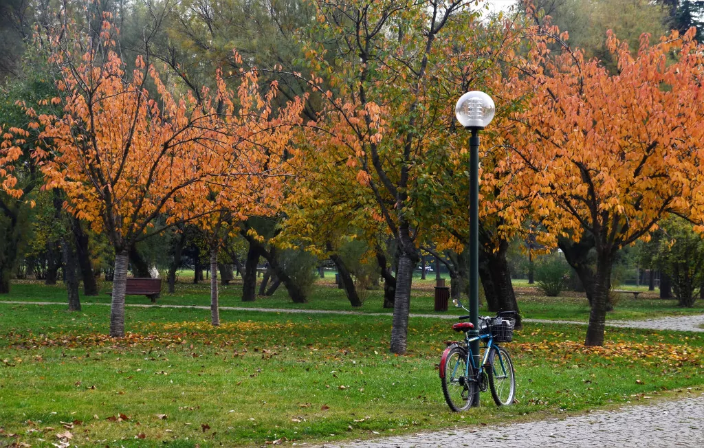 Bursa'da sonbaharın büyüsü