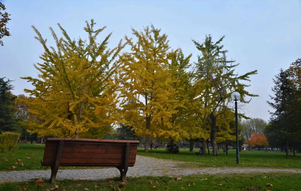 Bursa'da sonbaharın büyüsü