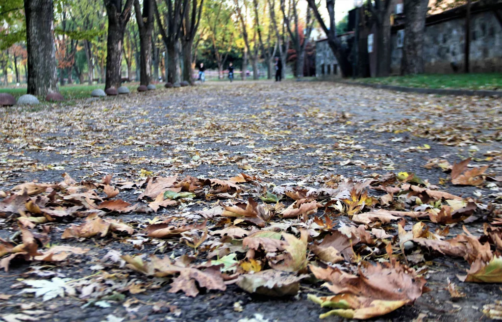 Bursa'da sonbaharın büyüsü