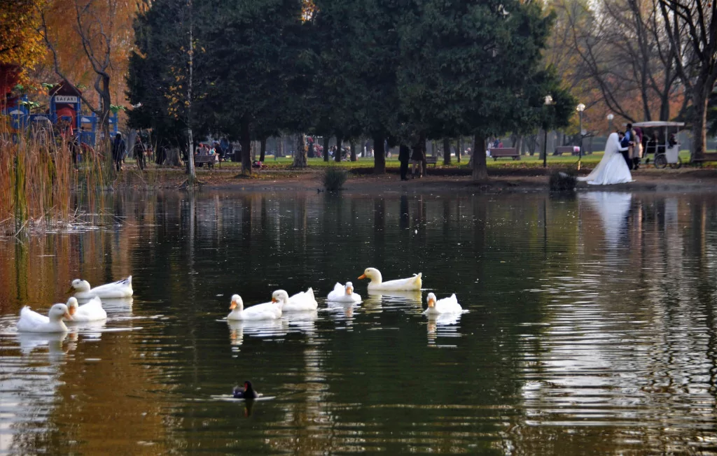 Bursa'da sonbaharın büyüsü