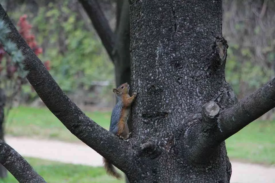 Bursa'da sonbaharın büyüsü