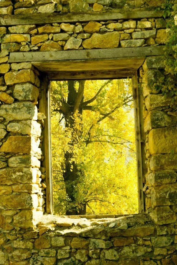 Muhteşem sonbahar renkleri