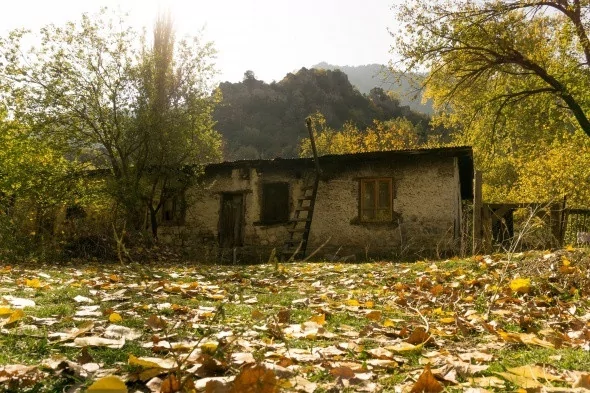 Muhteşem sonbahar renkleri