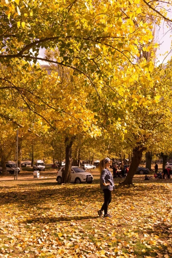 Muhteşem sonbahar renkleri