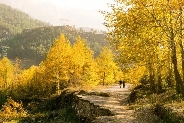Muhteşem sonbahar renkleri