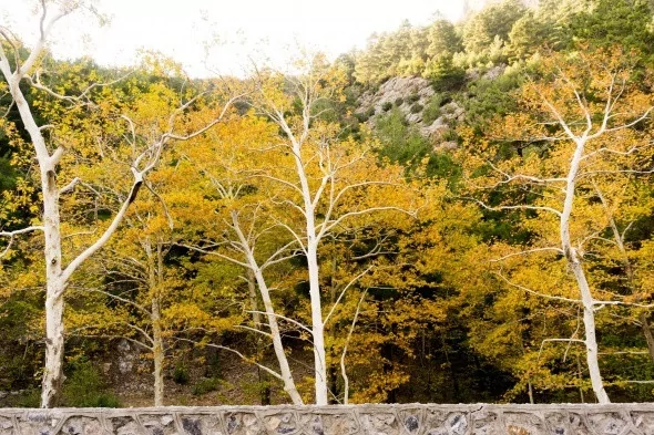 Muhteşem sonbahar renkleri