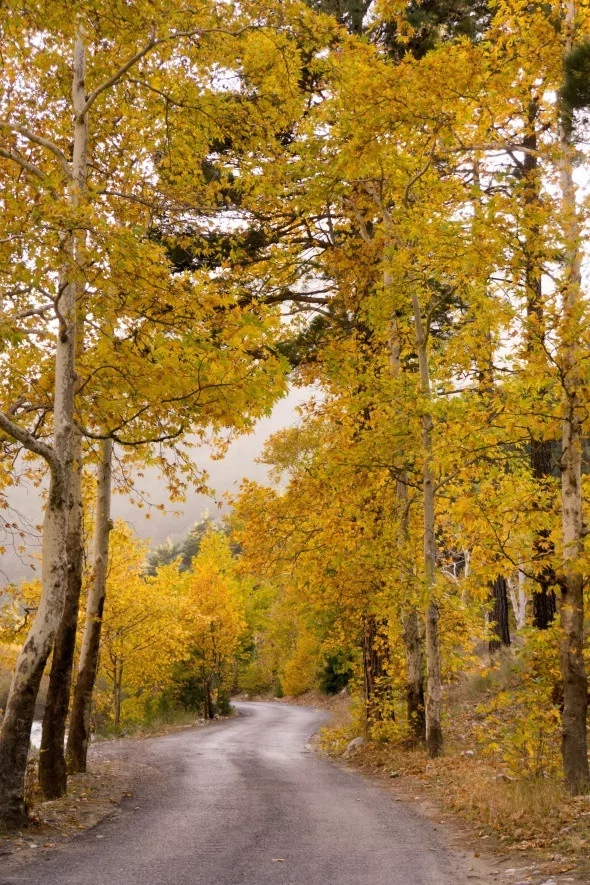 Muhteşem sonbahar renkleri