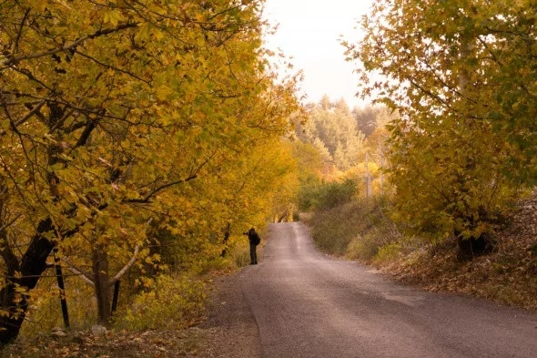 Muhteşem sonbahar renkleri