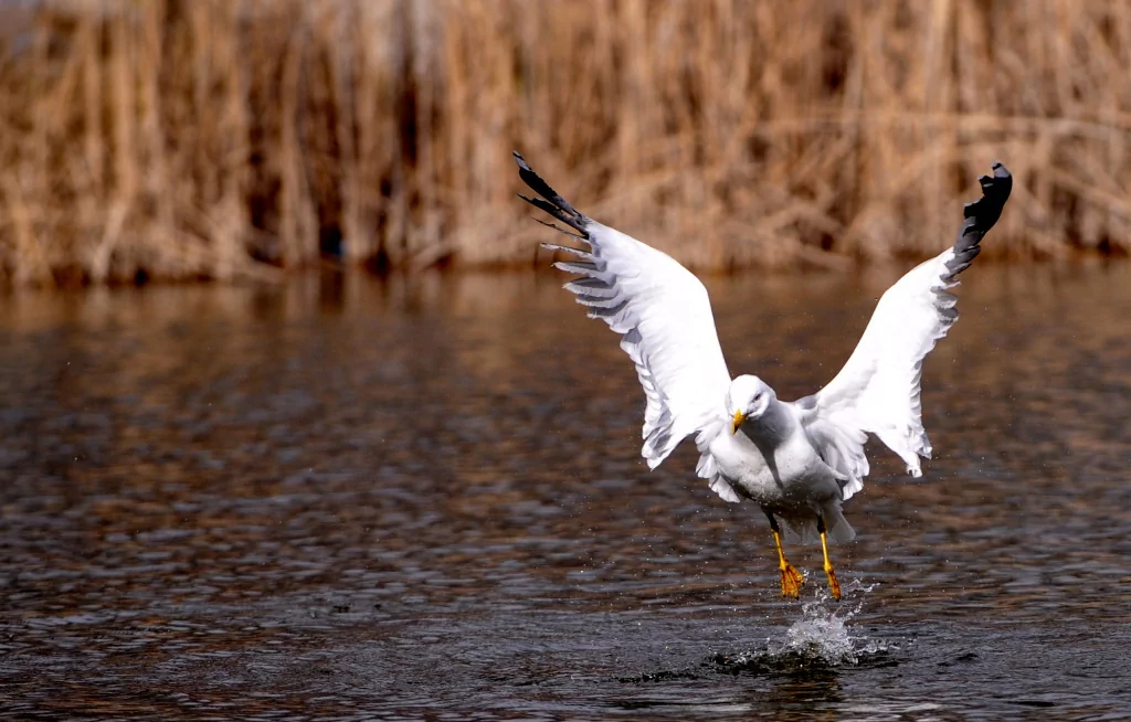 Bursa sonbaharda bir başka güzel (FOTO GALERİ)