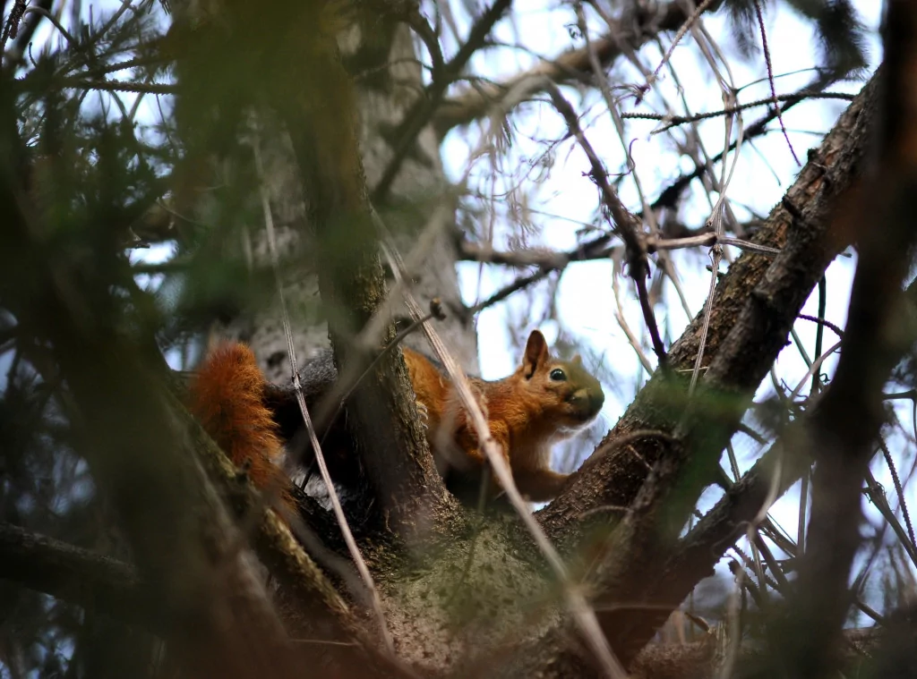 Bursa sonbaharda bir başka güzel (FOTO GALERİ)