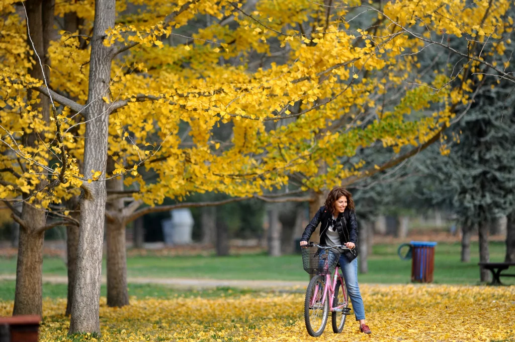 Bursa sonbaharda bir başka güzel (FOTO GALERİ)