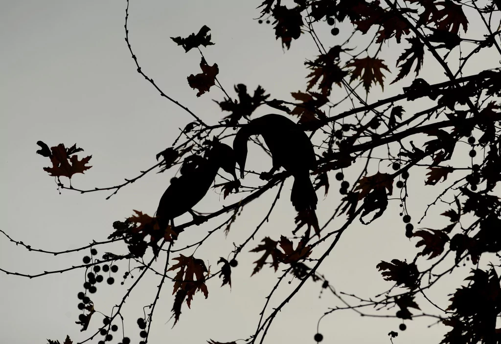 Bursa sonbaharda bir başka güzel (FOTO GALERİ)