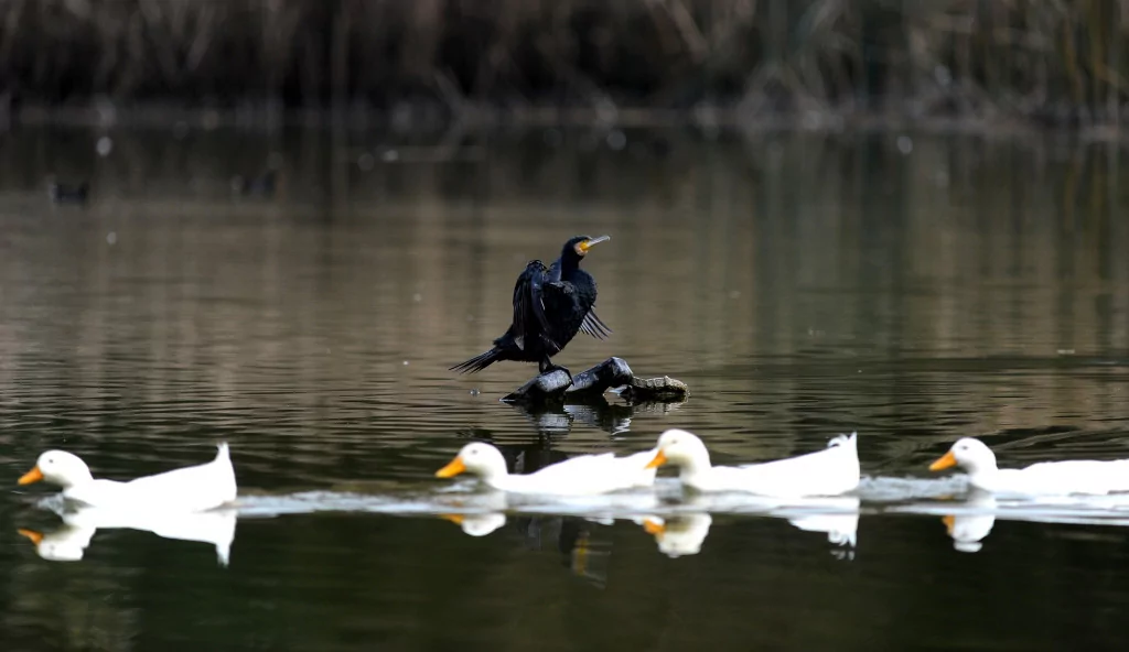 Bursa sonbaharda bir başka güzel (FOTO GALERİ)