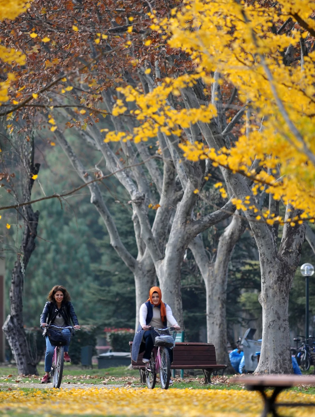 Bursa sonbaharda bir başka güzel (FOTO GALERİ)